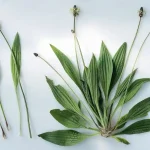 Most do this wrong. Here’s how often to clean everything