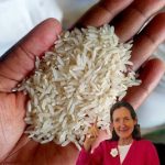 The Hidden Power of Dog Rose (Rosa canina): 10 Surprising Health Benefits and How to Use It