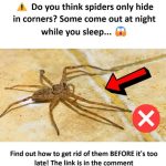 My brother took this photo 21 km from me! He shared on his page but no one noticed!