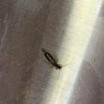 Join your hands and discover your hidden personality type