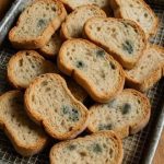 One of these almost forgotten treasures is the carob, an ancient fruit packed with remarkable nutritional properties