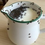 Homemade OxiClean Alternative