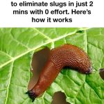 Great info! Wish I saw this earlier!