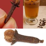 Goosegrass Poultice on Your Soles: A Surprising Natural Detox and Health Booster