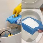 The Versatile Mint: Health Benefits, Uses, and How to Incorporate It into Your Daily Routine