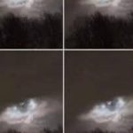 Why You Should Grow Hollyhocks in Your Yard and How to Eat Every Part of this Plant