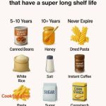 What Aloe Vera Does To Your Body: Why The Egyptians Called it The Plant of Immortality