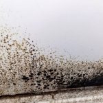 Stop Shaving! Try This Pain-Free Method to Remove Facial and Body Hair Naturally