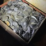 How to Cultivate and Maintain Orchids at Home : you will have them like those in nurseries