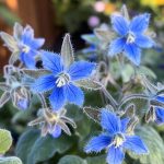 We ordered a salad, but there were tiny black specks in the food, we went straight to the hospital