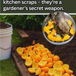 15 Brilliant Ways To Use Cinder Blocks In Your Yard