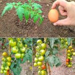 10+ Single Dads Share the Raw Truth Of Being the Only Parent