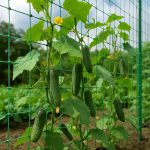 10+ Single Dads Share the Raw Truth Of Being the Only Parent