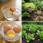 She Thought It Was Quinoa—Then She Looked Closer and Gagged