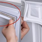 Unveiling the Healing Magic of Plantago Major