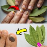 Why People Put Nails in Apples – Does It Really Work and Is It Safe?