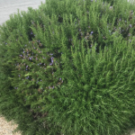 I feel like I’m in a bind