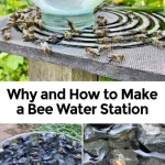 Quick and Flavorful Garlic Flatbreads: Ready in Just 10 Minutes!