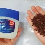 Healthy Tomato & Pepper Plants GUARANTEED! (Add THIS for Strong Growth)