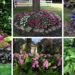 Refrigerator has a small button that can save millions in electricity bill: Many people don’t know this