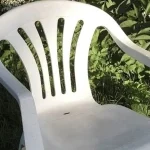 Boost Your Tomato Harvest Naturally: A Powerful Planting Method You Need to Try