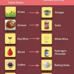 Sweet Zero Carbs and High Protein! No Sugar and Flour! Quick, Healthy and Delicious!