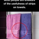 The Natural Power of Cloves: Home Remedies for Better Health