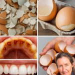 Accelerating Lemon Growth: A Farmer’s Trick to Cultivate Lemon Cuttings in Just 30 Days 