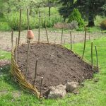 Kill Cockroaches Overnight Without Using Pesticides!