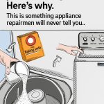 Banana, Carrot & Orange Juice Recipe