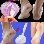 How to Preserve Fresh Blueberries at Home for Months