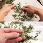 How to Preserve Fresh Blueberries at Home for Months