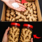 1 Lemon and 1 Egg: The Surprising Natural Combo Everyone Should Know About