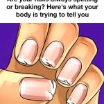 Weight Watchers Chicken Salad on Croissants