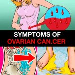 Handy Chart Tells You How To Remove Any Type Of Stain