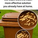 Freezer-Safe vs Non-Freezer-Safe: What You Need to Know