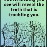 Our Belly Button: An Amazing Gift