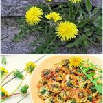 Oklahoma Fried Onion Burger