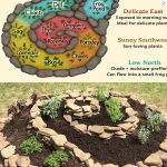 Teriyaki Chicken and Pineapple Foil Packets