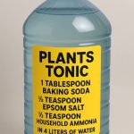 Old vs. New: Why Grandma’s Measuring Cup Outlasts Mine