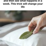 How Many Squares Can You Spot?