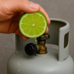 I Thought It Was Just a Rope in the Grass — Then I Looked Closer…