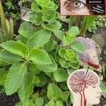 How to Recycle Fruit and Vegetable Containers