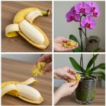 Butter Made From Air: Bill Gates’ Startup, Savor, Is Working on It