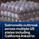 Eating eggs with 6 common things