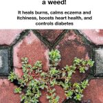 Most do this wrong. 10 cleaning supplies you’re storing wrong