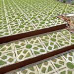 I Thought It Was Just a Rope in the Grass — Then I Looked Closer…