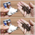 If You Spot A Tree Painted White, Here’s What It Means