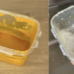 What does the green circle around the eggs mean