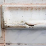 Mystery Solved: The Real Reason Your Fork Has a ‘Chipped’ Prong!